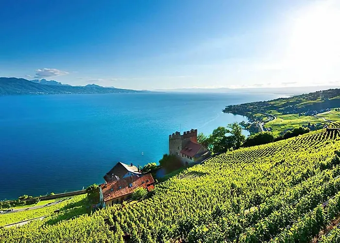 Sunset House With Gorgeous View Of The Willa *