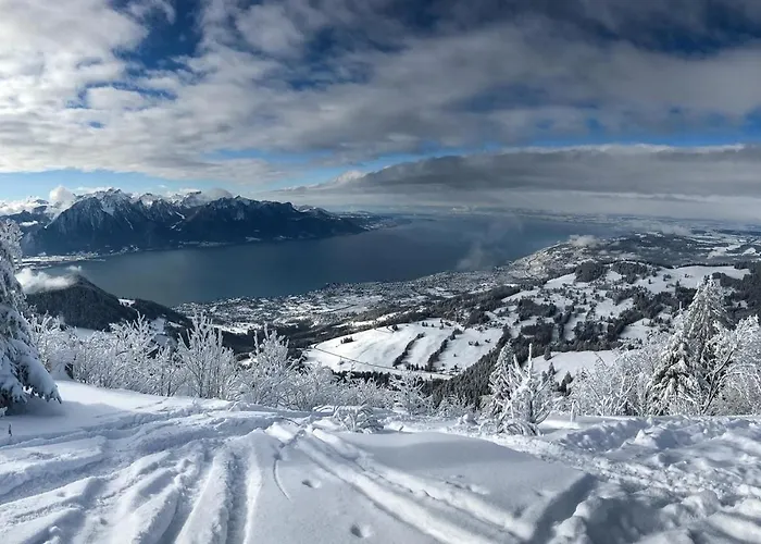Sunset House With Gorgeous View Of The * Montreux